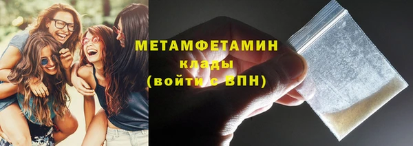 гидра Богородицк
