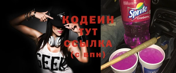 мдпв Богданович