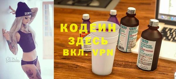 гидра Богородицк
