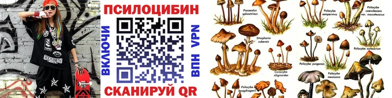 Купить где  Кузнецк  Галлюциногенные грибы ЛСД 